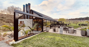 Wild on Waiheke