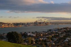 Consejos locales de Auckland