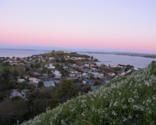 Paseos por Auckland