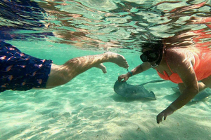Bimini: 4-Stop Snorkeling Adventure