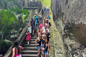 Excursão personalizada de meio dia para grupos (preço por veículo)