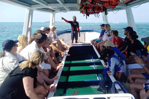 Glass Bottom Coral Reef Snorkeling Tour with Drinks