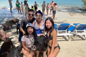 Island Hopping, Swimming w/ Turtles & Unlimited Bahamas Mama