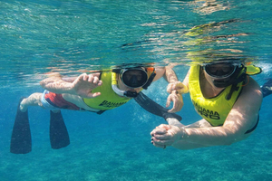 Fra Nassau: Snorkeltur til Green Cay (Turtle Island)