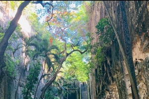 Nassau: Guided Walking Tour with Local Treats
