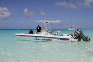 Nassau: Intimate Speedboat Tour with Swimming Pigs & Lunch
