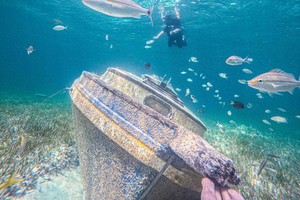 Nassau : Excursion d'une journée à Sun Cay, plongée en apnée, rencontre avec un iguane et déjeuner