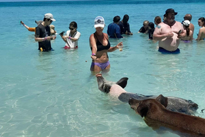 Nassau: Swimming with Pigs, Snorkeling, and Sightseeing Tour