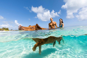 Paradise Island: Rose Island Tour with Swimming Pigs & Lunch