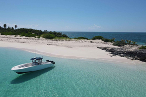 Private Boat Charter with Snorkeling/Swimming Pigs & Drinks
