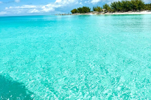Isla Rosa: Playa del Cerdo, Esnórquel, Tortugas Marinas, Playa