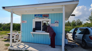 Cat’s Conch Salad