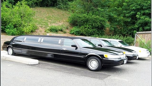 Dan Knowles Tours