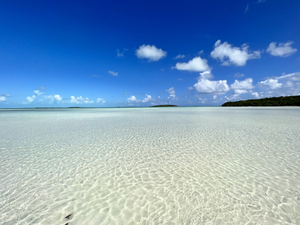 Exuma Sand Bar
