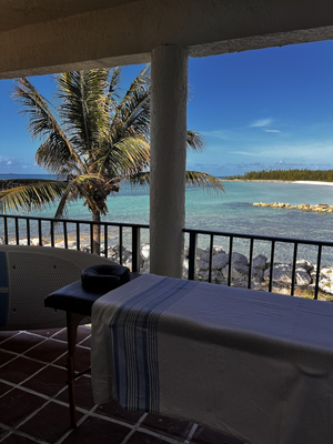 Lotus Healing Massage Therapy