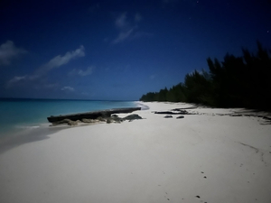 Love Beach