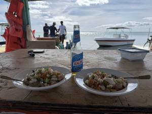 Seaside Village Restaurant and Bar