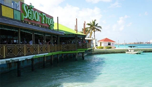 Senor Frog's Food, Fiesta, and Souvenirs