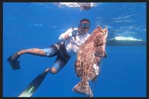 Escape the Cold: Bahamas Winter Wonderland Experience