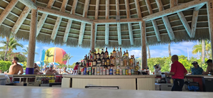 Swim-Up Bar