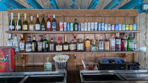 Wacky Seagull Bar