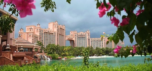 Paradise Island