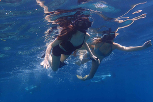 Alt inkludert Snorkling på øya Menjangan