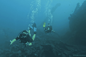 Amed: Try Diving in Tulamben & Amed with PADI Instructor