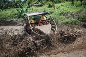 Bali Buggy Adventure with Zip-Line and Coffee Farm Visit