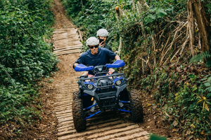 Bali: Tour dei delfini con quad ATV e cascata