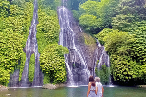 Bali: Jatiluwih Rice Terrace, Temple & Waterfall Tour