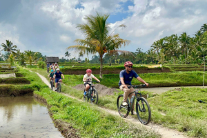 Bali Natural Downhill Cycling Tour With Volcano Visit