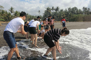 Playa de Saba, programa de conservación de tortugas