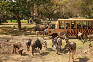 Bali: Safari Zoo and Ubud Palace and Market Day Tour