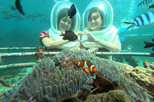 Bali: Sea Walker Watersport Nusa Dua With Hotel Transfer