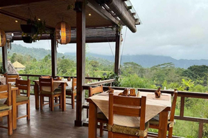 Bali: Sidemen Valley Private Tour with Rafting & Temple
