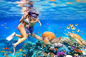 Bali: Snorkeling Blue Lagoon 2 Spot with Lunch and Transport