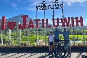 Bali: Tabanan Rice Terraces E-Bike Tour with Breakfast
