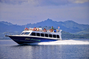 De Bali a Gili Gede: barco rápido (traslado opcional a Bali)