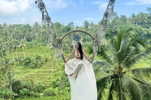 Bali/Ubud: eventyr med huske, zipline og skybike på risterrasse