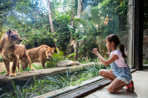 Bilet wstępu do zoo na Bali