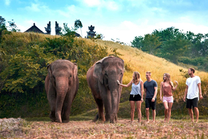 Bali Zoo: oprowadzanie po zoo z opieką nad słoniami i kąpielą błotną