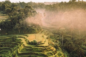 Custom Private Ubud Tour with Flexible Options & Tickets