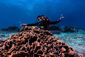 From Bali: Beginner Scuba Diving to Nusa Penida & Lembongan