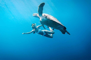 Vanuit snorkeldagtour naar Gili-eiland met ophaalservice vanaf je hotel
