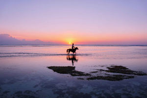From Bali - One-Way Transfer to Gili Trawangan + Hotel Pickup