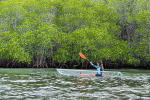 Von Lembongan aus: Kajak/Paddelbrett/Bootstour Mangroven