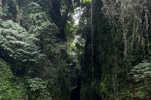 From North Aling Aling Waterfall and Blue Lagoon Tour