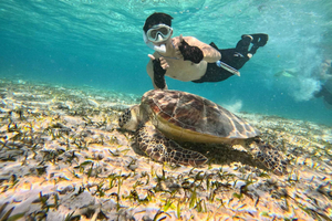 Islas Gili: tour privado para practicar esnórquel con tortugas y estatuas