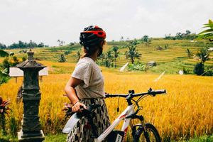 tour guiado en bici por Kintamani con vistas a arrozales